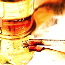 Super Naked, Plum + Chia Oil 17 Super Naked, Plum + Chia Oil -Beauty Essence Shop 7 cb736ee9 63ae 4796 a596 f4e3dde1e902