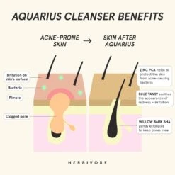 Aquarius BHA + Blue Tansy Clarity Cleanser -Beauty Essence Shop AQUA 1101140 4