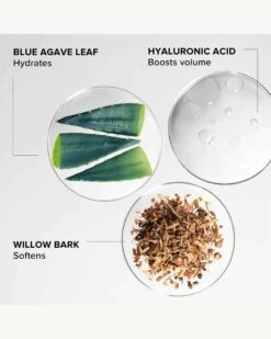 Willow & Sweet Agave Plumping Lip Mask 11 Willow & Sweet Agave Plumping Lip Mask -Beauty Essence Shop AlpynBeauty LipMask Ingredients 04