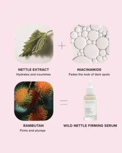 Wild Nettle & Niacinamide Firming Serum -Beauty Essence Shop AlpynBeauty WildNettleFirmingSerum Ingredients 07