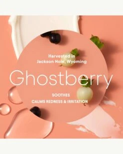 Super Peptide & Ghostberry Barrier Repair Cream -Beauty Essence Shop Alpyn SuperPeptideGhostberryBarrierRepairCream Ghostberry 09