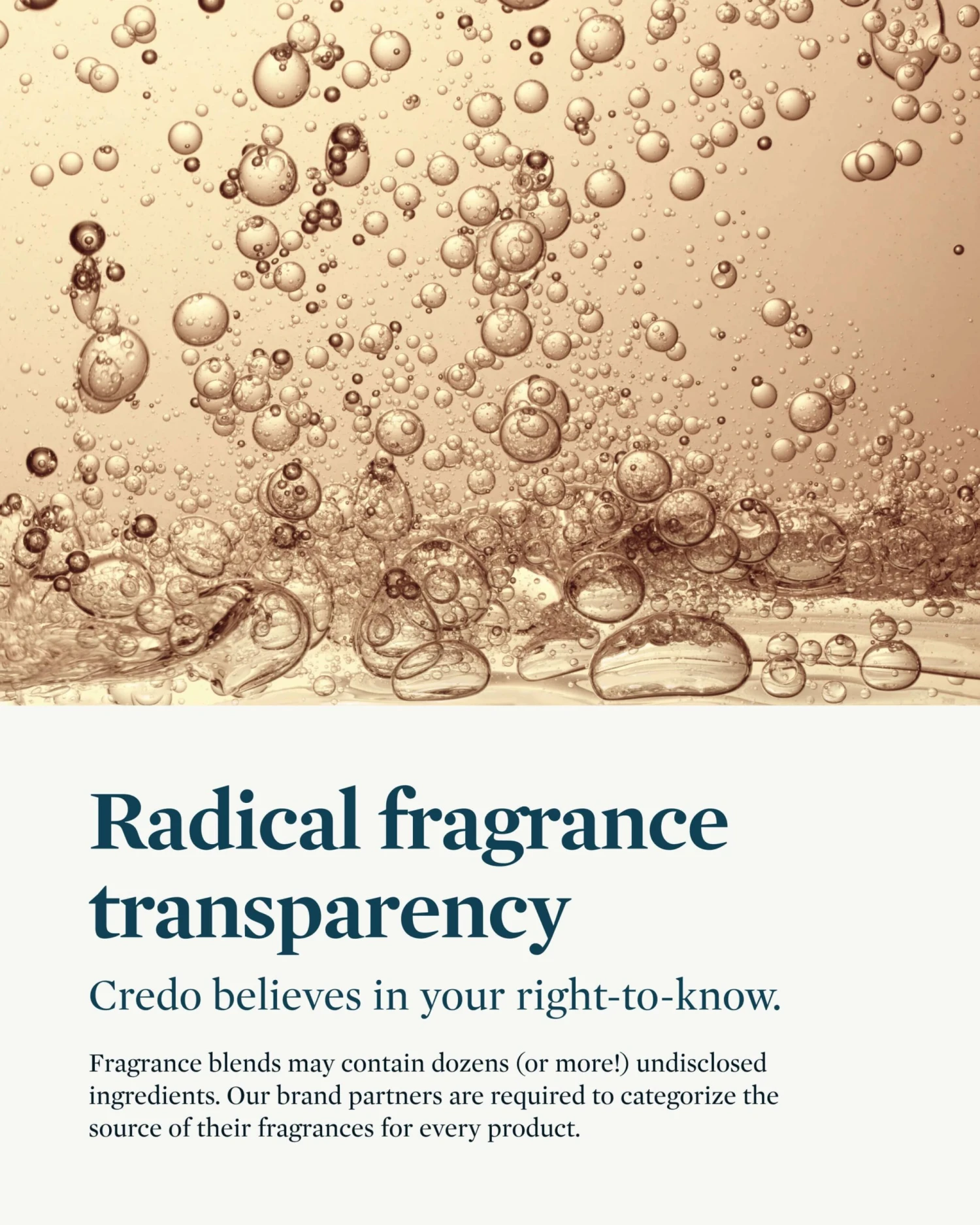 Polish- Detoxifying Body Scrub 6 Polish- Detoxifying Body Scrub - Image 4