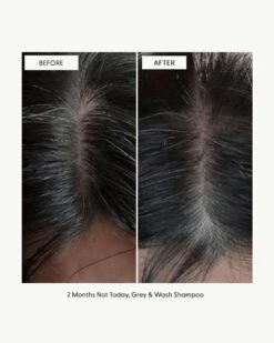 Wash Shampoo -Beauty Essence Shop Arey WashShampoo BA 12