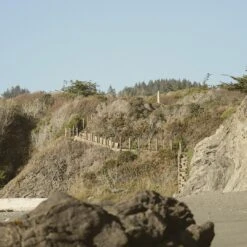 Good Seed Conditioner -Beauty Essence Shop BC GoodSeedConditioner Ed4