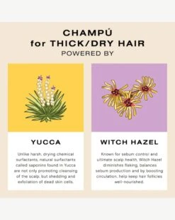 Deep Moisture Wash And Repair Kit -Beauty Essence Shop Ceremonia 2605129 KeyIngredients