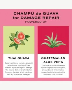 Guava Shampoo For Color Treated Hair And Damage Repair 19 Guava Shampoo For Color Treated Hair And Damage Repair -Beauty Essence Shop Ceremonia 2636751 KeyIngredients