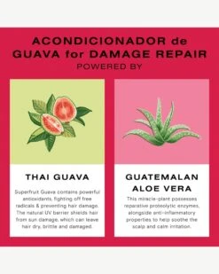 Guava Conditioner For Color Treated Hair And Damage Repair 18 Guava Conditioner For Color Treated Hair And Damage Repair -Beauty Essence Shop Ceremonia 2636769 KeyIngredients