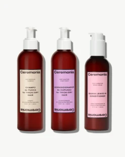 Deep Moisture Wash And Repair Kit