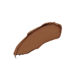 On The Go Perfecting Concealer -Beauty Essence Shop Cocoa 1