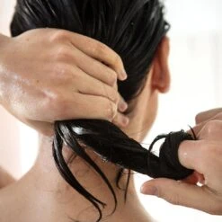 Guava Leave In Conditioner 16 Guava Leave In Conditioner -Beauty Essence Shop Credo GuavaLeaveIn 05