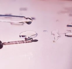 Watermelon Dreams: The Absolute Oil -Beauty Essence Shop DSC044862