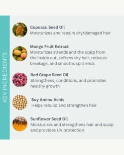 UltraRepair Reconstructing Masque -Beauty Essence Shop Evolvh UltraRepairReconstructingMasque Ingredients 03