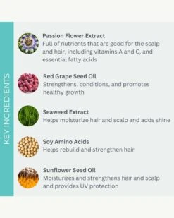 Ultrashine Moisture Shampoo & Conditioner 1L Duo -Beauty Essence Shop Evolvh UltraShineMoistureShampooConditionerLiterDuo Ingredients 03