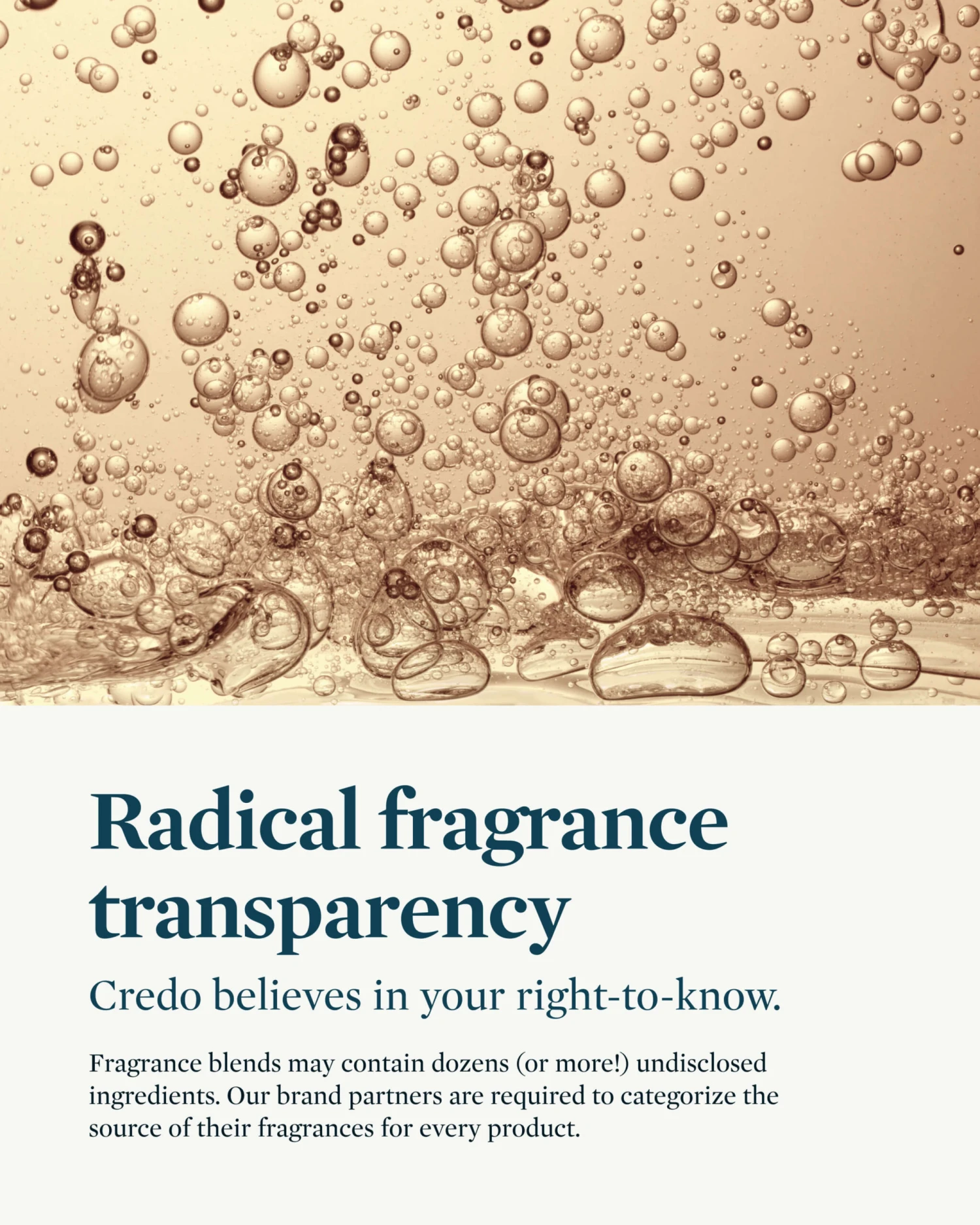 Champú De Yucca & Witch Hazel Deep Moisture Shampoo 10 Champú De Yucca & Witch Hazel Deep Moisture Shampoo - Image 8