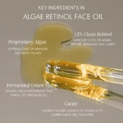 Evening Primrose + Green Tea Algae Retinol Oil -Beauty Essence Shop Ingredients
