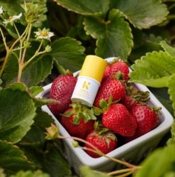 Liplock SPF 15 Lip Balm 8 Liplock SPF 15 Lip Balm -Beauty Essence Shop LiplockLifestyleTwo