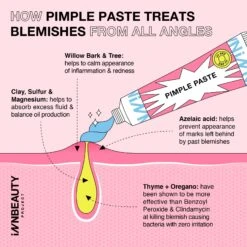 Pimple Paste Overnight Drying Paste -Beauty Essence Shop PIMPLEPASTE3