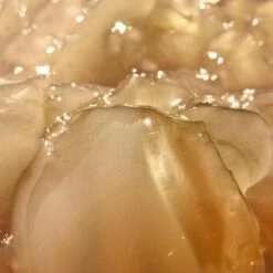 Glow Philtre -Beauty Essence Shop Q3 029GlowPhiltre Square