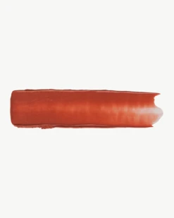 Ceramide Lip Silk -Beauty Essence Shop SOSHE CeramideLipSilk Swatch 02 Justright