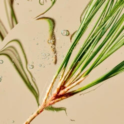 SUPERKIND Refining Cleanser -Beauty Essence Shop Sept8 NordicPine Ingredient 1