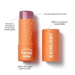 Axiology Multi Stick -Beauty Essence Shop TINTEDDEW THEGOODNESS