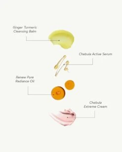 Glowy Bestsellers Starter Kit 11 Glowy Bestsellers Starter Kit -Beauty Essence Shop TrueBotanicals GlowyBestsellersKit Ingredients 03