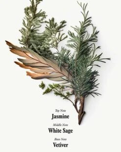 Uni 24 Hour Serum -Beauty Essence Shop Uni BodySerum Ingredients 04