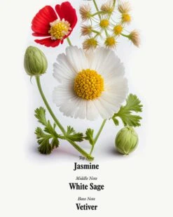 Uni Restoring Hand Wash -Beauty Essence Shop Uni HandWash Ingredients 04