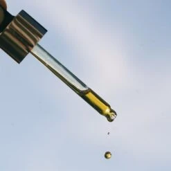 Evening Primrose + Green Tea Algae Retinol Oil -Beauty Essence Shop edits 3 HIGH